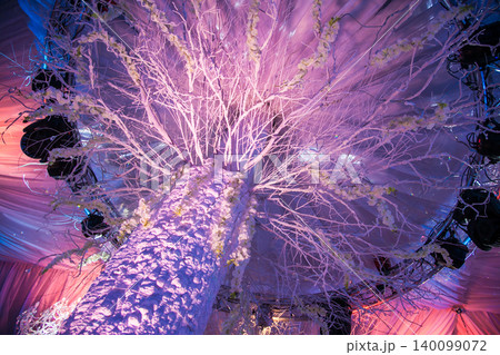 Magical white decorative tree with flowers under purple and pink lights Magical white decorative tree with flowers under purple and pink lights 140099072