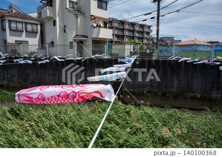 平瀬川と強風の鯉のぼり 平瀬川と強風の鯉のぼり 140100368