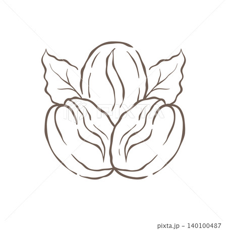 A Group Of Three Roasted Coffee Beans With A Leaf Vector Illustration A Group Of Three Roasted Coffee Beans With A Leaf Vector Illustration 140100487