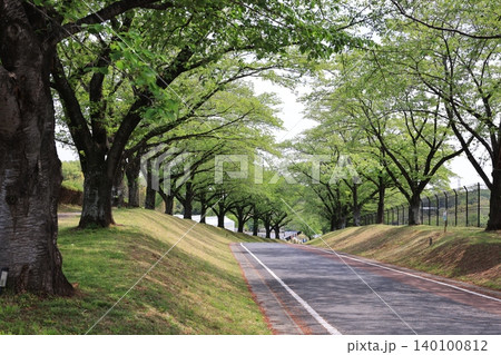埼玉県東松山市の東松山農林公園 埼玉県東松山市の東松山農林公園 140100812
