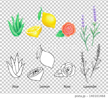 水彩手描きのハーブと植物素材セット|アロエレモンローズラベンダー 水彩手描きのハーブと植物素材セット|アロエレモンローズラベンダー 140101468