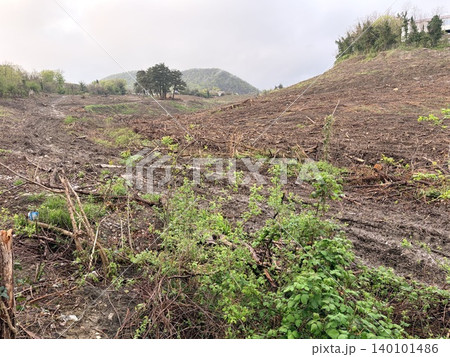 a heavily cleared hillside under an overcast sky, showcasing the aftermath of deforestation or land preparation for development. a heavily cleared hillside under an overcast sky, showcasing the aftermath of deforestation or land preparation for development. 140101486