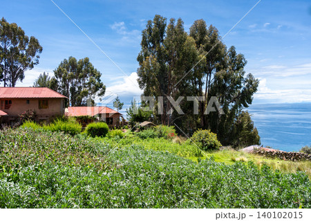 Houses and cultivated fields on Taquile Island, Lake Titicaca, Peru 140102015