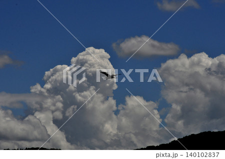 青空と湧き立つ夏雲の中を飛ぶ鳥のシルエット 青空と湧き立つ夏雲の中を飛ぶ鳥のシルエット 140102837