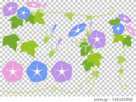 一套簡單的牽牛花裝飾插圖。 一套簡單的牽牛花裝飾插圖。 140102908