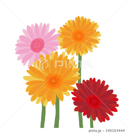 手描きの花のイラスト　ガーベラ 140103444