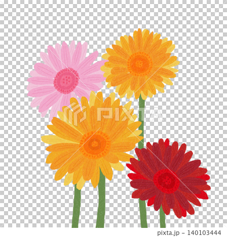 Hand-drawn flower illustration: Gerbera 140103444