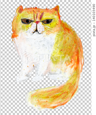 異國短毛貓插圖 140103490