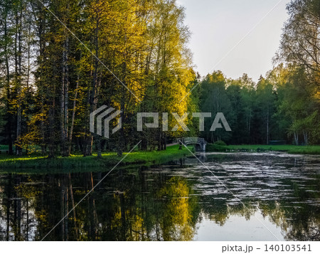 Golden leaves shimmer above a quiet pond. Stone bridge arches 140103541