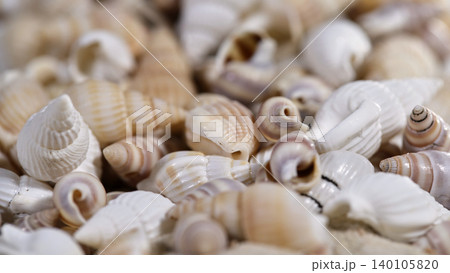 Many seashells collected on sandy surface near the ocean during warm sunny day Many seashells collected on sandy surface near the ocean during warm sunny day 140105820