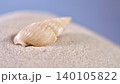Shell resting on soft sand near the shore at a beach during sunny weather in the afternoon hours 140105822