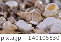 Collecting seashells on a beach during a sunny day 140105830