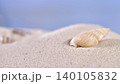 Shell rests on soft sand beside calm water in a coastal area during daylight hours 140105832