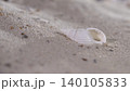 Shell rests on sandy beach during sunny day, reflecting calm coastal environment and nature's beauty 140105833