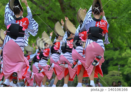 阿波踊り 春の祭典「徳島城 阿波おどり」有名連の女踊り 阿波踊り 春の祭典「徳島城 阿波おどり」有名連の女踊り 140106166