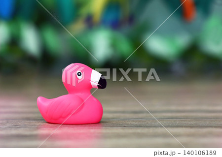 Single pink rubber duck flamingo bird with copy space Single pink rubber duck flamingo bird with copy space 140106189