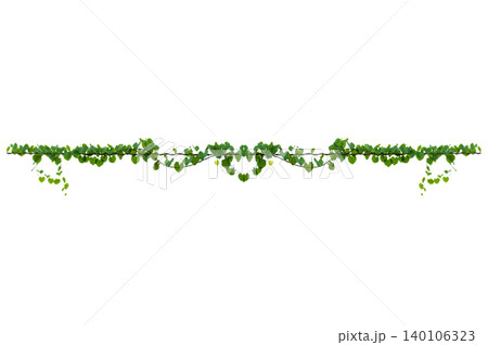 vine frame leaf vine Isolate on transparent background PNG file 140106323