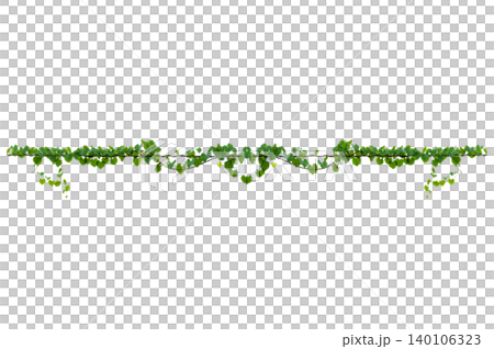 vine frame leaf vine Isolate on transparent background PNG file 140106323