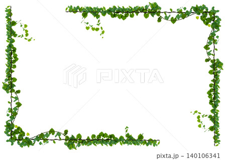 vine frame leaf vine Isolate on transparent background PNG file 140106341