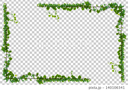 vine frame leaf vine Isolate on transparent background PNG file 140106341