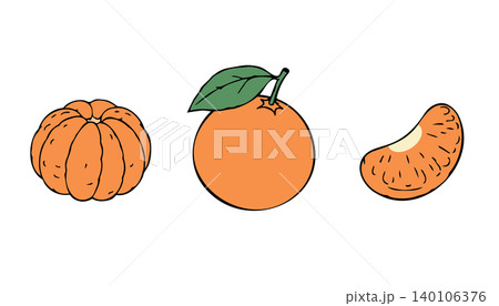 Mandarin Orange Set with Whole Mandarin Peel and Citrus Segment Illustration 140106376