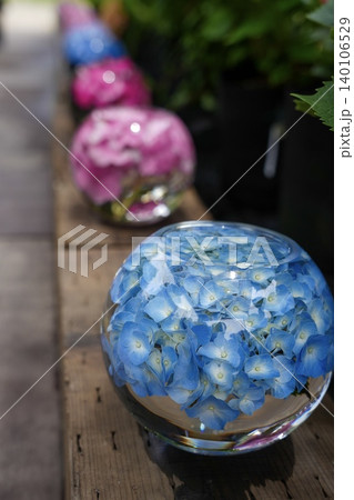 ガラスボウルに浮かぶ青い紫陽花と梅雨の風景 ガラスボウルに浮かぶ青い紫陽花と梅雨の風景 140106529