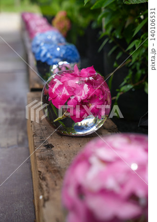 ガラスボウルに浮かぶ青い紫陽花と梅雨の風景 ガラスボウルに浮かぶ青い紫陽花と梅雨の風景 140106531