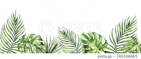 Monstera leaf frame, template. Watercolor hand drawn palm areca, vibrant green tones. Isolated botanical illustration on transparent background. Perfect for tropical design projects. For designers Monstera leaf frame, template. Watercolor hand drawn palm areca, vibrant green tones. Isolated botanical illustration on transparent background. Perfect for tropical design projects. For designers 140106665