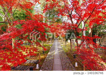 紅葉の石畳の参道 鹿王院 紅葉の石畳の参道 鹿王院 140106746