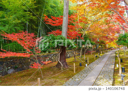 紅葉の石畳の参道 鹿王院 紅葉の石畳の参道 鹿王院 140106748