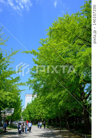 中島公園の初夏_1447 中島公園の初夏_1447 140107200