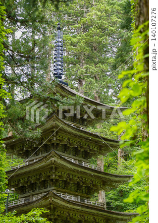 羽黒山 五重塔と姥すぎ 羽黒山 五重塔と姥すぎ 140107276