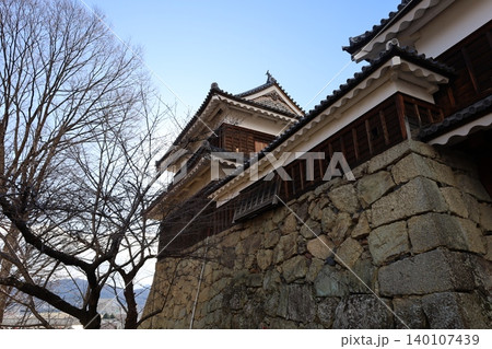 上田城 東虎口櫓門【長野・上田市】 上田城 東虎口櫓門【長野・上田市】 140107439