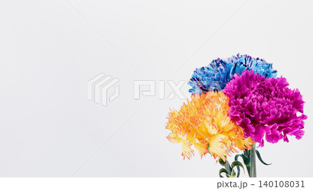 カラフルなカーネーションの花 マクロ撮影 白背景 コピースペース 140108031