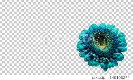 青いガーベラの花 マクロ撮影 背景透過 鮮やかなフラワー素材 青いガーベラの花 マクロ撮影 背景透過 鮮やかなフラワー素材 140108274