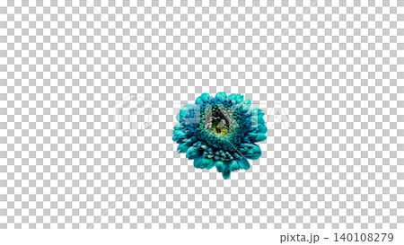 Blue gerbera flower, macro photography, transparent background, vibrant flower image. Blue gerbera flower, macro photography, transparent background, vibrant flower image. 140108279