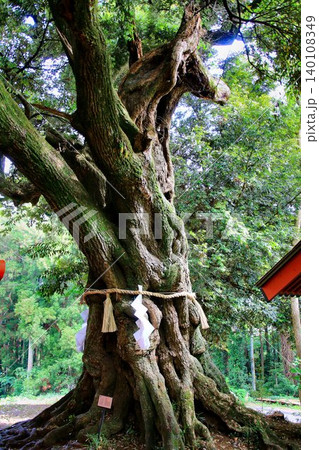 日本唯一の夢叶え大明神・夢結びの神様… 稲敷『大杉神社』の【馬形顕現】 日本唯一の夢叶え大明神・夢結びの神様… 稲敷『大杉神社』の【馬形顕現】 140108349