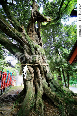 日本唯一の夢叶え大明神・夢結びの神様… 稲敷『大杉神社』の【馬形顕現】 日本唯一の夢叶え大明神・夢結びの神様… 稲敷『大杉神社』の【馬形顕現】 140108352