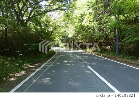 新緑に包まれた道路 新緑に包まれた道路 140108821