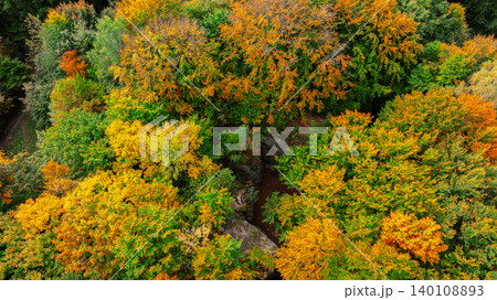 Vibrant autumn forest canopy viewed from above with diverse foliage colors Vibrant autumn forest canopy viewed from above with diverse foliage colors 140108893