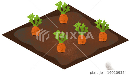 carrot field illustration 140109324