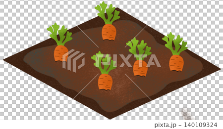 carrot field illustration 140109324