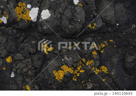 Dark coastal rock texture with yellow lichen as natural geological background Dark coastal rock texture with yellow lichen as natural geological background 140110693