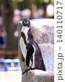 こっちを向いたペンギン 140110717