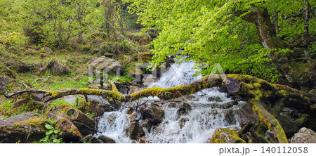 Flowing stream with moss-covered rocks and vibrant green trees in the Pyrenees mountains, showcasing natural beauty and tranquility Flowing stream with moss-covered rocks and vibrant green trees in the Pyrenees mountains, showcasing natural beauty and tranquility 140112058