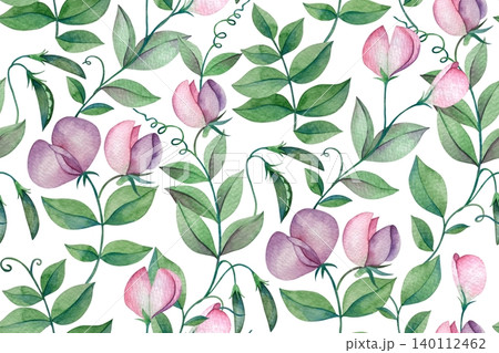 Sweet pea watercolor illustration. Seamless print of flowers and leaves. 140112462