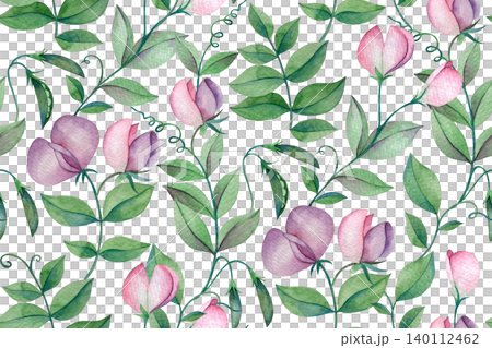 Sweet pea watercolor illustration. Seamless print of flowers and leaves. 140112462