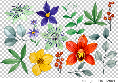 Tropical flowers and leaves, a set of watercolor illustrations. Passion flowers, orchid Tropical flowers and leaves, a set of watercolor illustrations. Passion flowers, orchid 140112604