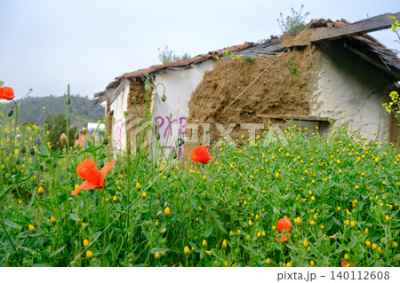 Abandoned Mudbrick Cottage with Red Poppies in Kakopetria, Cyprus Abandoned Mudbrick Cottage with Red Poppies in Kakopetria, Cyprus 140112608