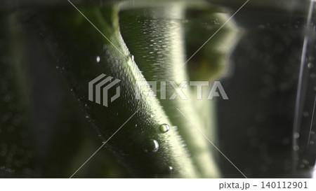 Green Stem Bubbles. Detailed View Of Submerged Green Stem With Microbubbles In Transparent Container . Media Green Stem Bubbles. Detailed View Of Submerged Green Stem With Microbubbles In Transparent Container . Media 140112901